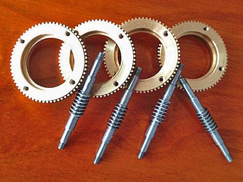 Precision worm gear